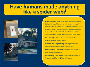 Spider Web.png